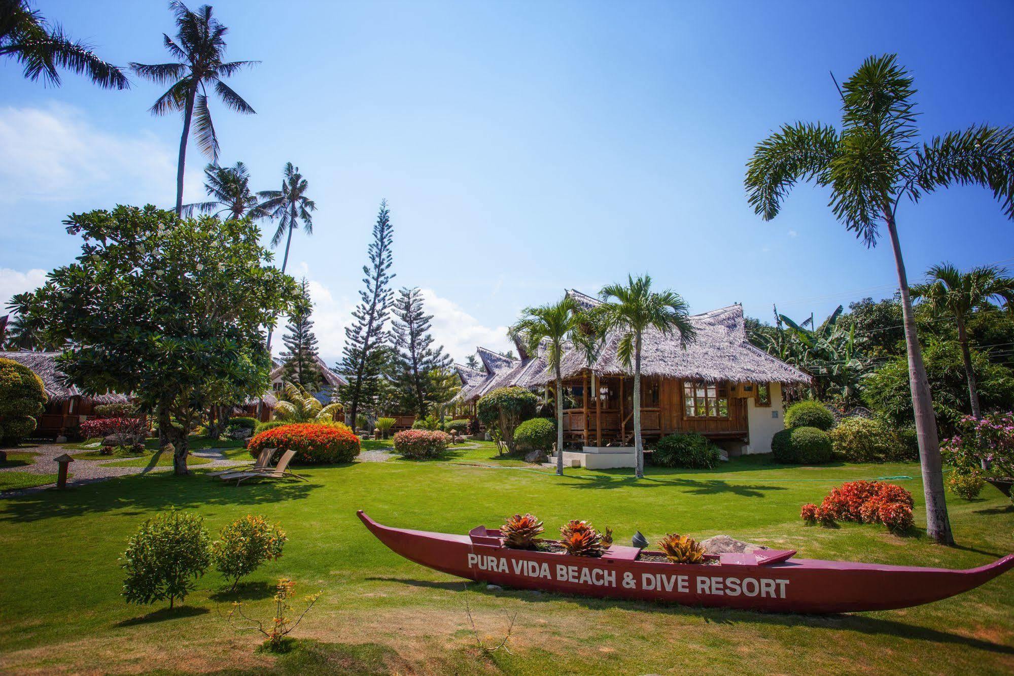 Pura Vida Beach & Dive Resort Dauin Exteriör bild